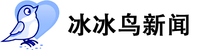 冰冰鸟新闻网